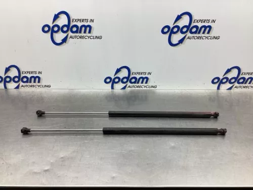 Set Gasdempers Achterklep-8027090