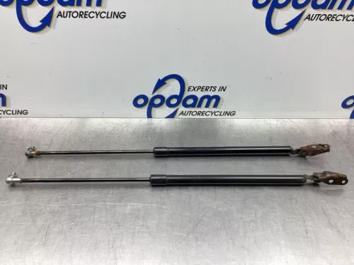 Set Gasdempers Achterklep-7873466