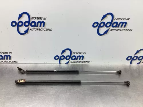 Set Gasdempers Achterklep-8046896