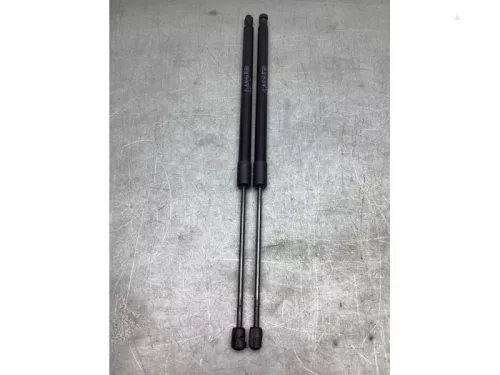 Set Gasdempers Achterklep-8253406