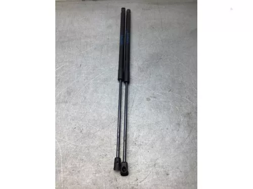 Set Gasdempers Achterklep-8110718