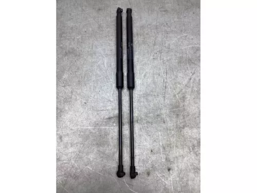 Set Gasdempers Achterklep-8083298