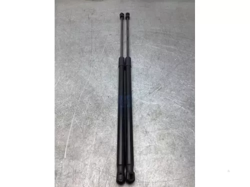 Set Gasdempers Achterklep-7366488