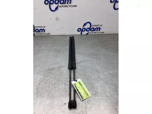 Set Gasdempers Achterklep-8316524