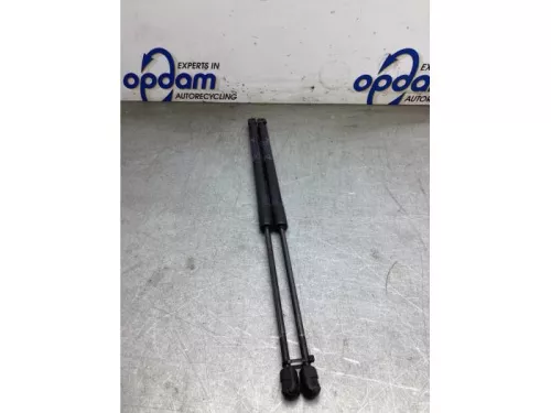 Set Gasdempers Achterklep-8253942