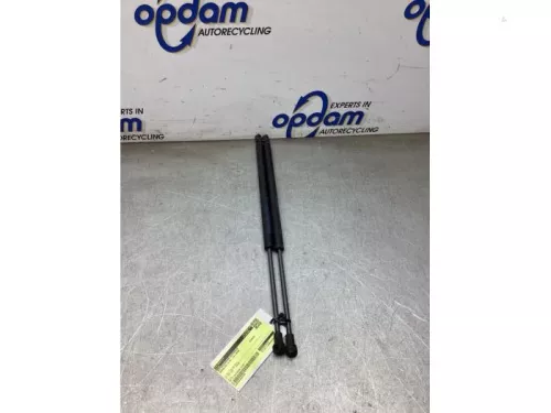 Set Gasdempers Achterklep-8198040