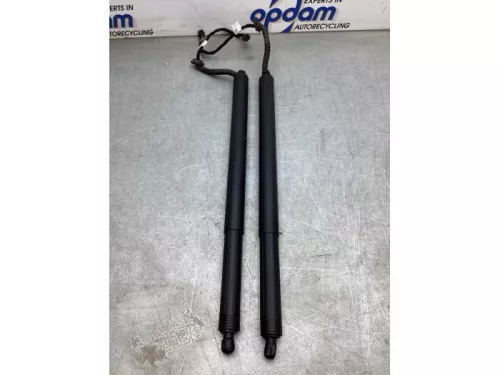 Set Gasdempers Achterklep-8162072