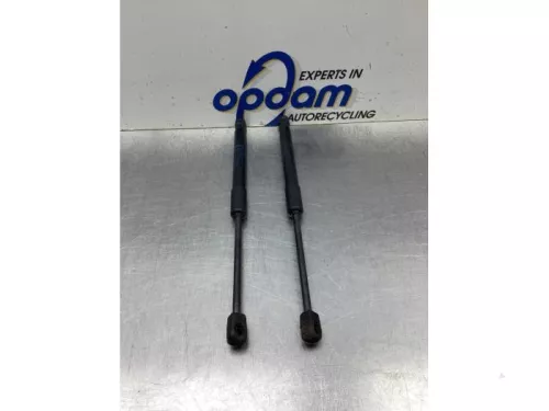 Set Gasdempers Achterklep-7871218