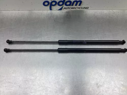 Set Gasdempers Achterklep-8069735