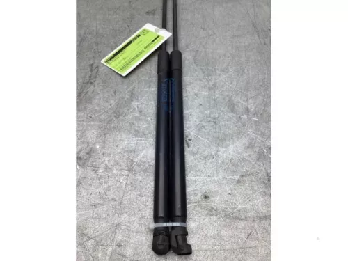 Set Gasdempers Achterklep-8202833