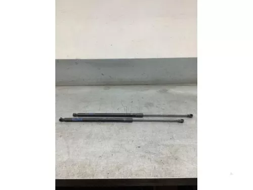 Set Gasdempers Achterklep-8065484