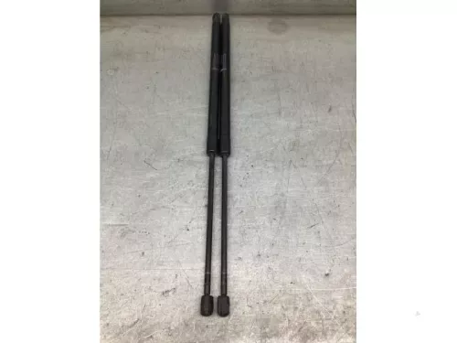 Set Gasdempers Achterklep-8155286