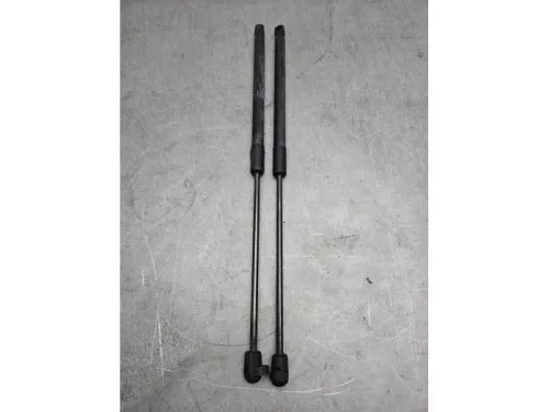 Set Gasdempers Achterklep-8255600