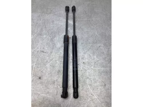 Set Gasdempers Achterklep-8103030