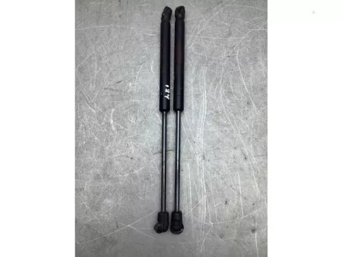 Set Gasdempers Achterklep-8137357