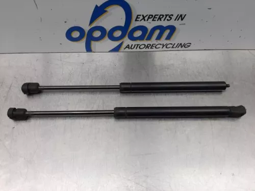 Set Gasdempers Achterklep-7613777