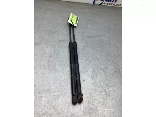 Set Gasdempers Achterklep-8304616