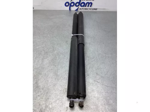 Set Gasdempers Achterklep-5401117