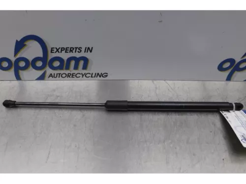 Set Gasdempers Achterklep-7877681