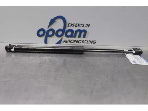 Set Gasdempers Achterklep-7711978