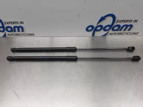 Set Gasdempers Achterklep-7877119