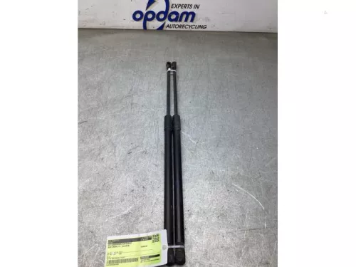 Set Gasdempers Achterklep-8219515