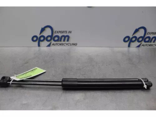 Set Gasdempers Achterklep-7879399