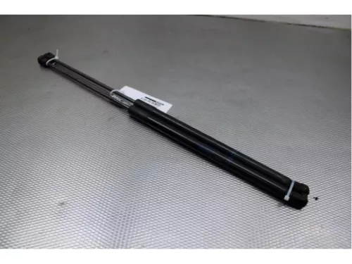 Set Gasdempers Achterklep-7712345