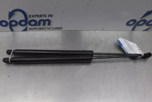 Set Gasdempers Achterklep-7617309