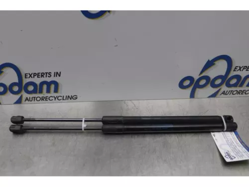 Set Gasdempers Achterklep-7712134