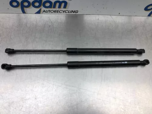 Set Gasdempers Achterklep-7544425