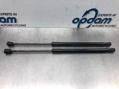 Set Gasdempers Achterklep-6923658