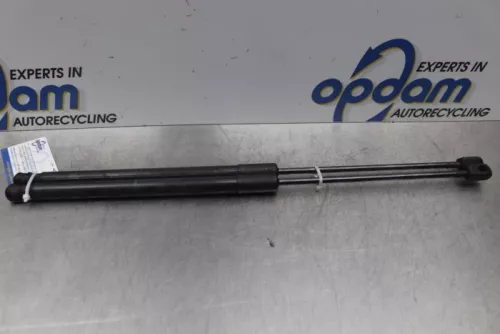 Set Gasdempers Achterklep-7582706