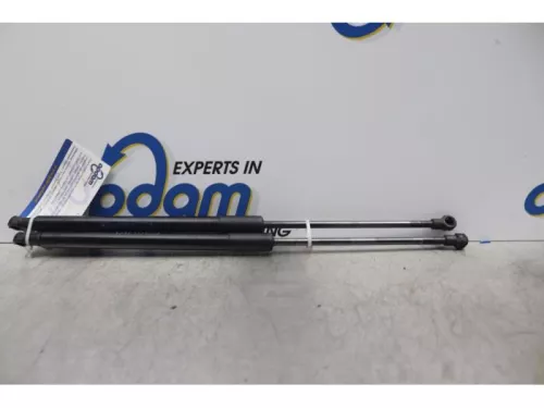 Set Gasdempers Achterklep-7620546