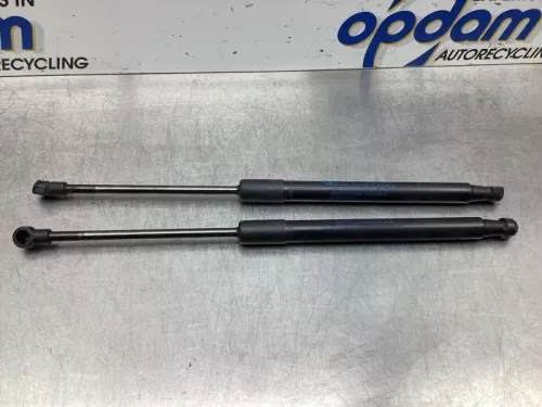 Set Gasdempers Achterklep-6665274