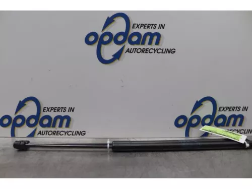 Set Gasdempers Achterklep-7582918