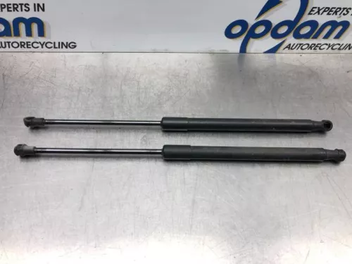 Set Gasdempers Achterklep-7614303