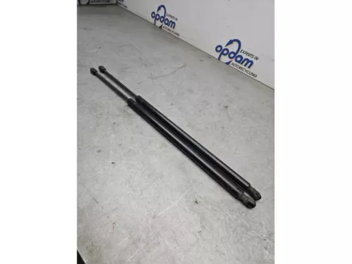 Set Gasdempers Achterklep-8123071