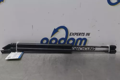 Set Gasdempers Achterklep-7612551