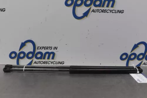 Set Gasdempers Achterklep-7876927