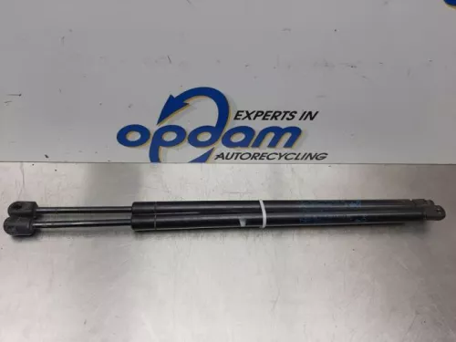 Set Gasdempers Achterklep-7577134