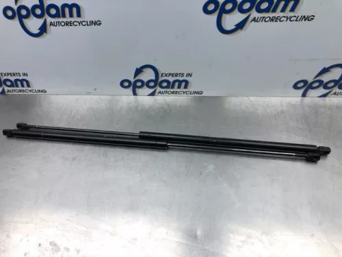 Set Gasdempers Achterklep-7577055