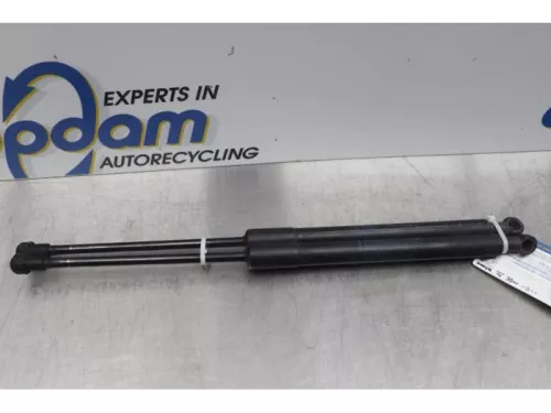 Set Gasdempers Achterklep-7614903