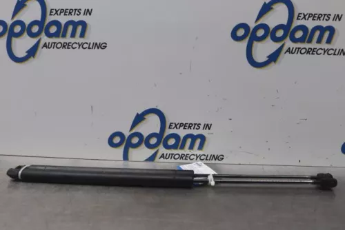 Set Gasdempers Achterklep-7544456