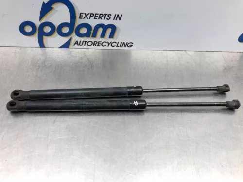 Set Gasdempers Achterklep-6725426