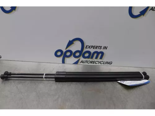 Set Gasdempers Achterklep-7716790