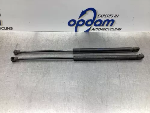 Set Gasdempers Achterklep-7862336