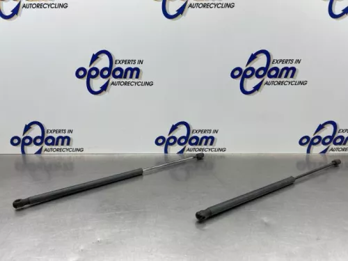 Set Gasdempers Achterklep-8328002