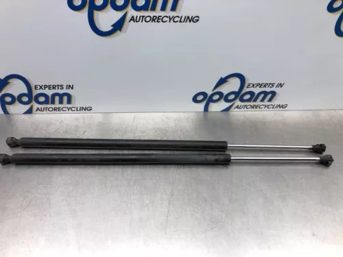 Set Gasdempers Achterklep-7743826