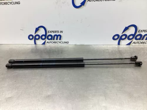 Set Gasdempers Achterklep-7767746